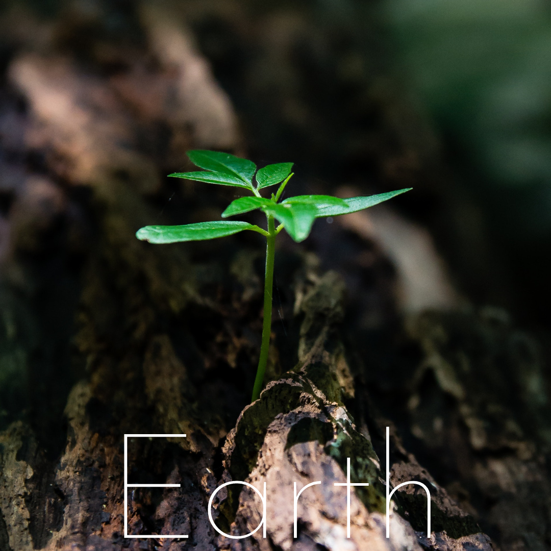 Earth Element