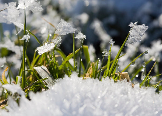 Earth: How to Transition with the Seasons