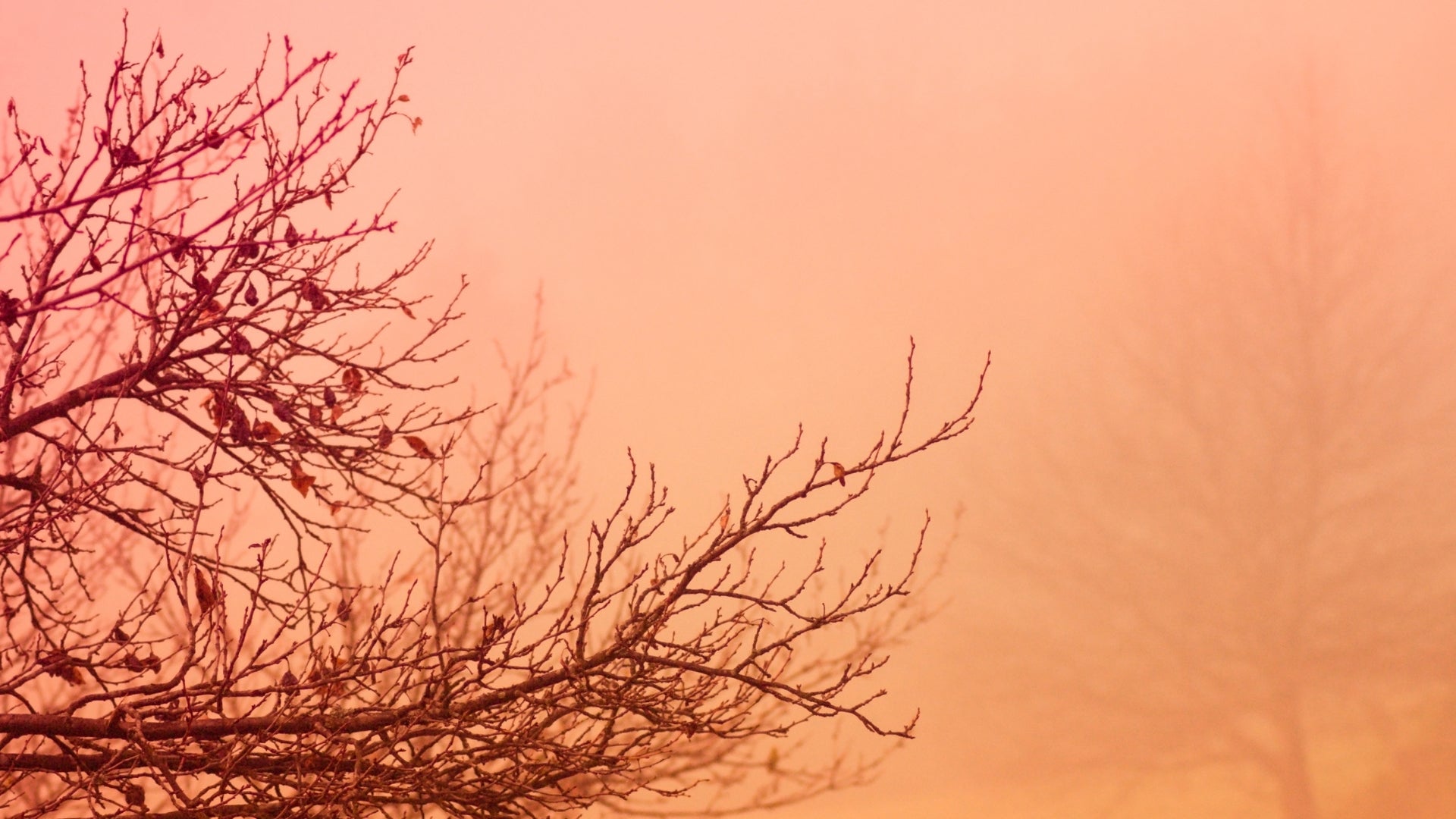 Welcome in the Autumn