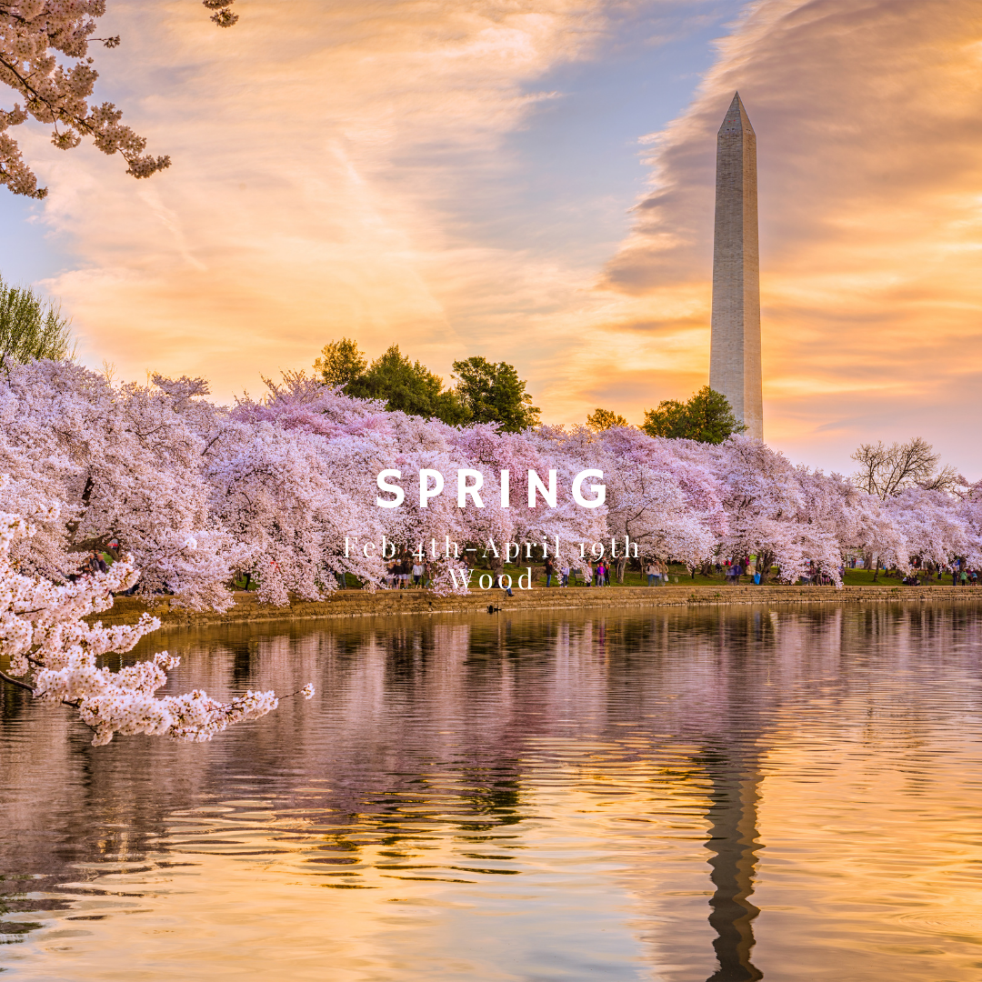 Spring in Chinese Medicine: A Guide – Ashmira Botanica